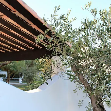 Hotel Mas Des Rieges &
