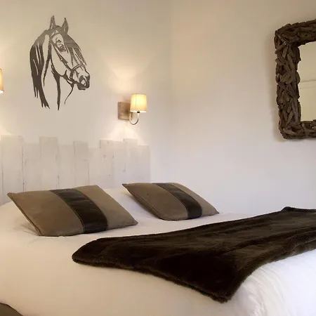 Hotel Mas Des Rieges & Saintes-Maries-de-la-Mer